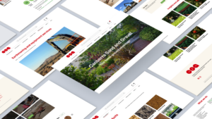 Canberra Sand and Gravel - Website UI mockup - Aryal Technologies
